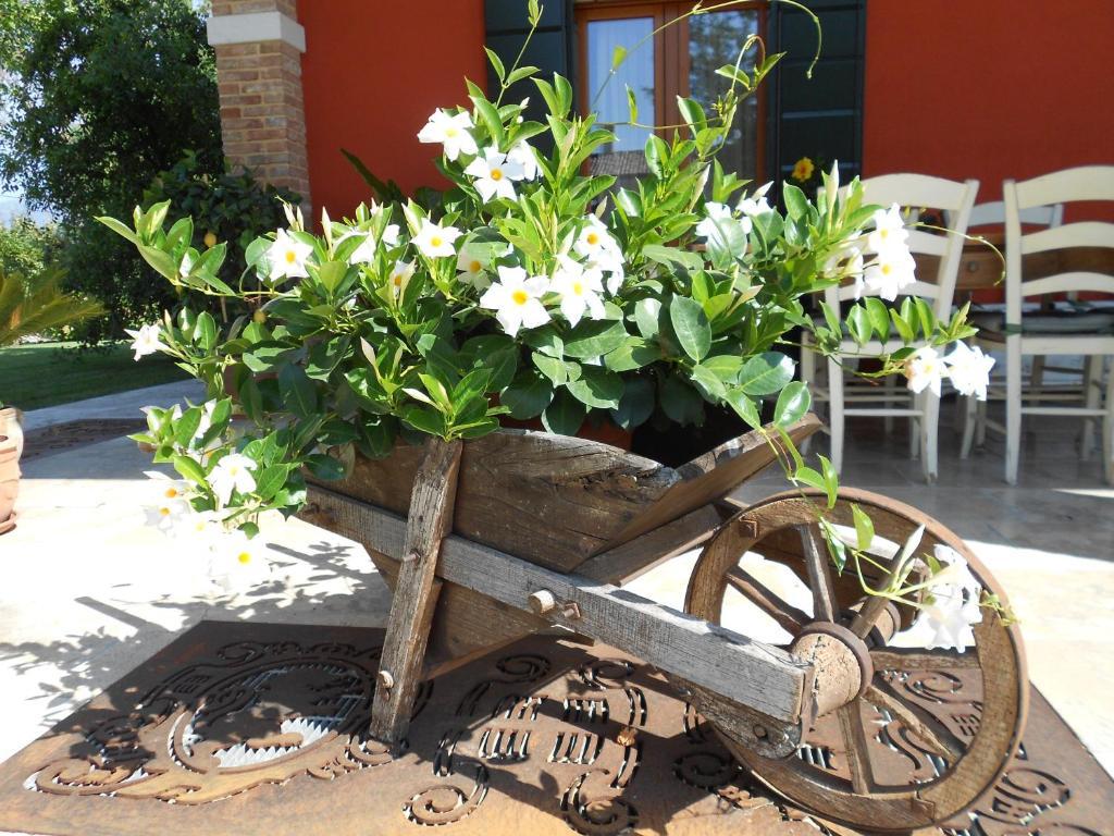 Borgo D'asolo *