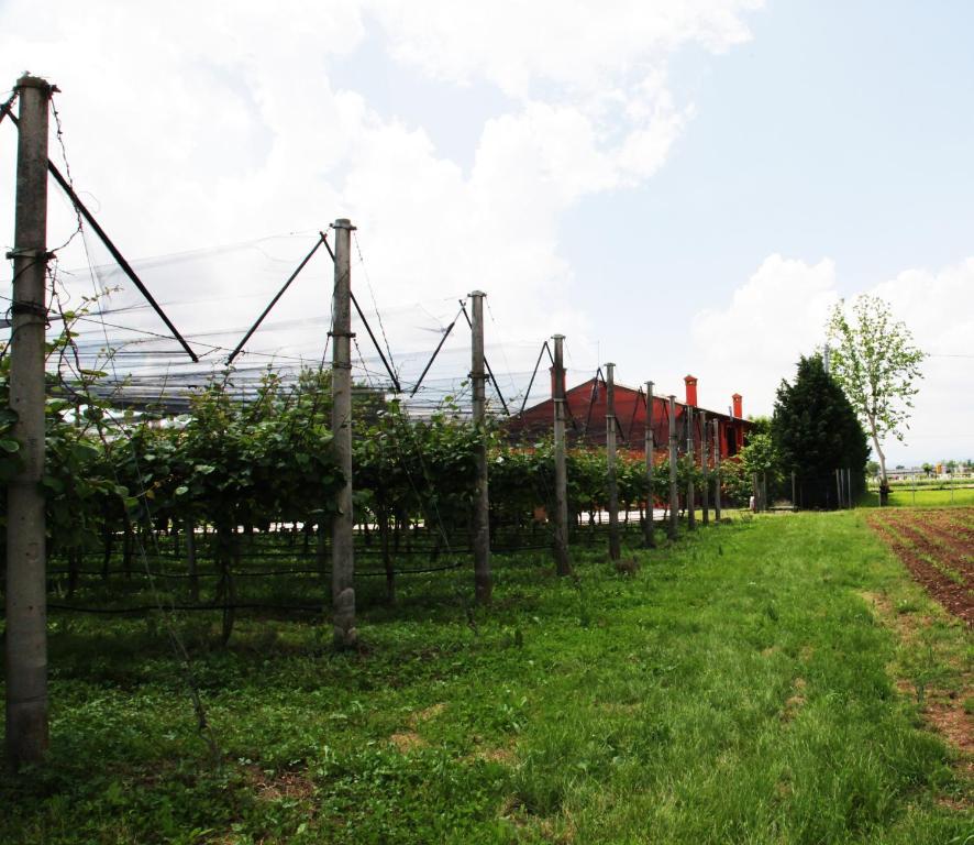Bauernhof Borgo D'asolo San Vito Di Altivole